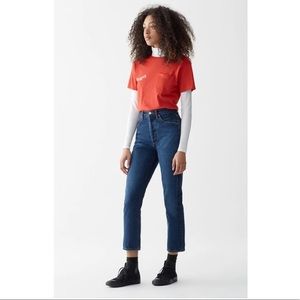 Agolde Riley Hi Rise Straight Crop in Desolate